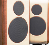 TRUUNE Eight 8 Camel Aktív