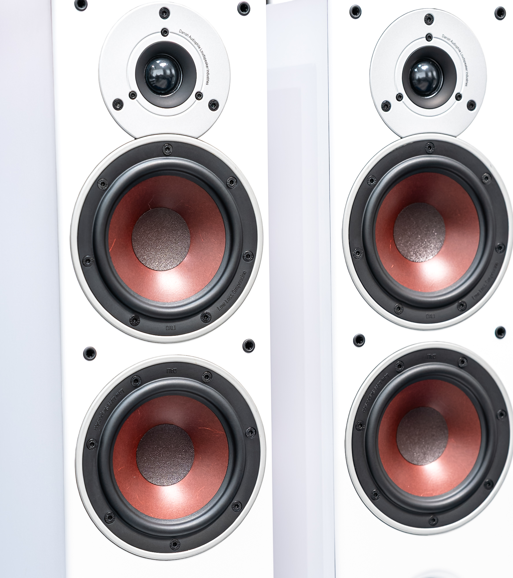 DALI ZENSOR 5 White