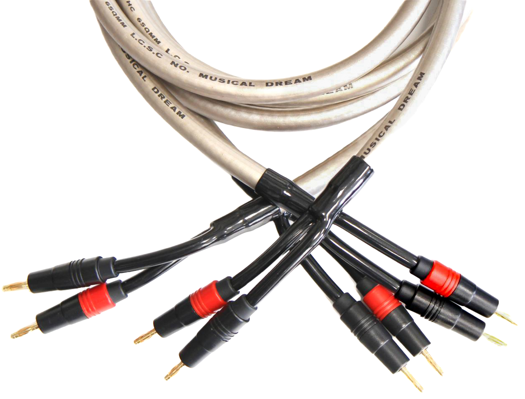 SHARK WIRE MUSICAL Dream 2.5M